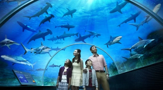 オーシャンアリウム（Oceanarium）
